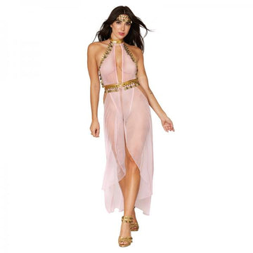 Dreamgirl Snake Charmer Costume Skirted Mesh Teddy With Gold Disc Accents & Headpiece Pink O/s