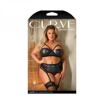 Fantasy Lingerie Curve Cassidy Cage Bra, Garter Belt & Panty Black 1xl/2xl